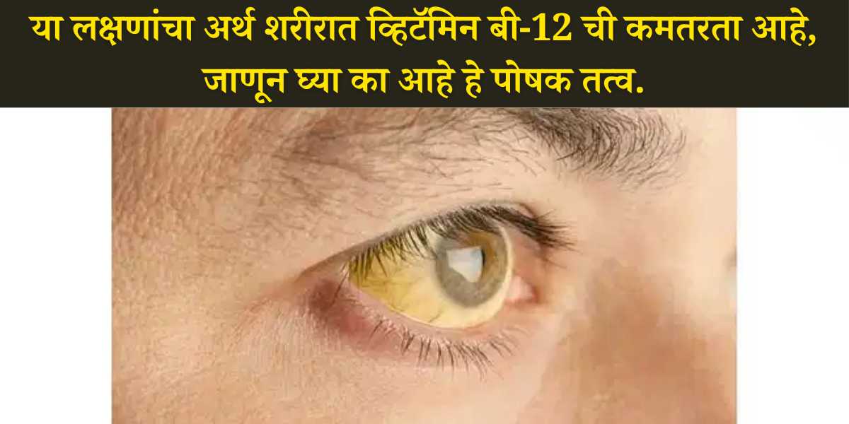 vitamin-b12-importance-in-human-body