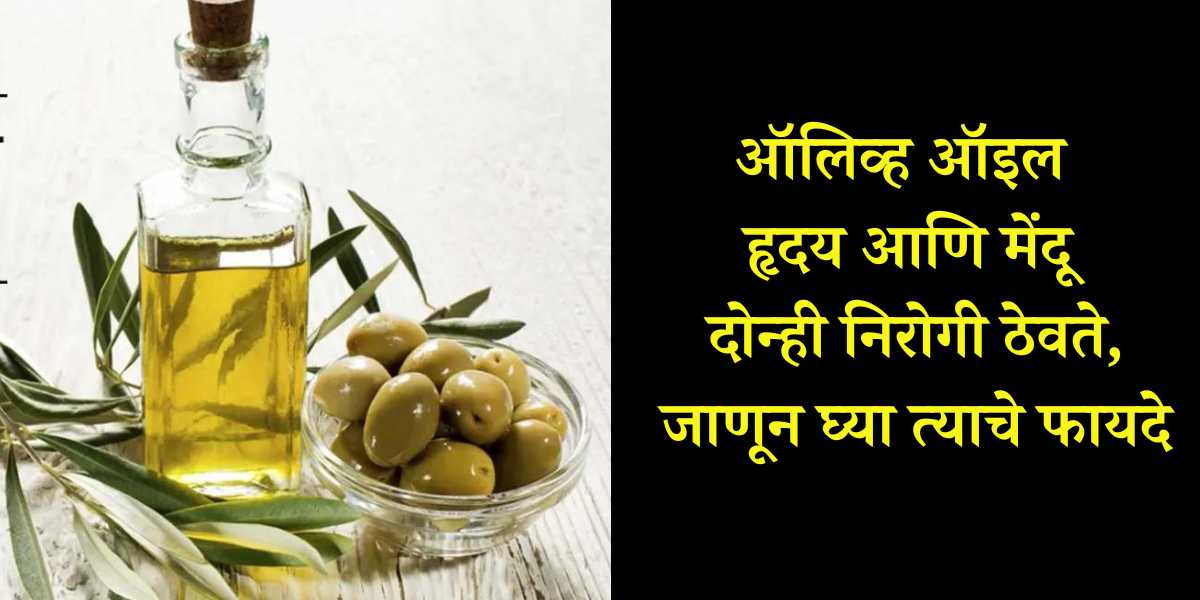 olive oil che fayde in marathi