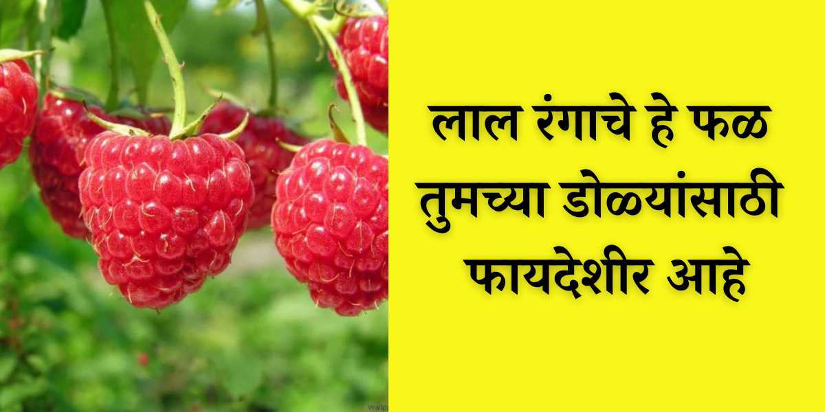 red raspberry benefits