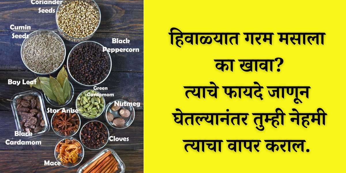 garam masala benefits in marathi
