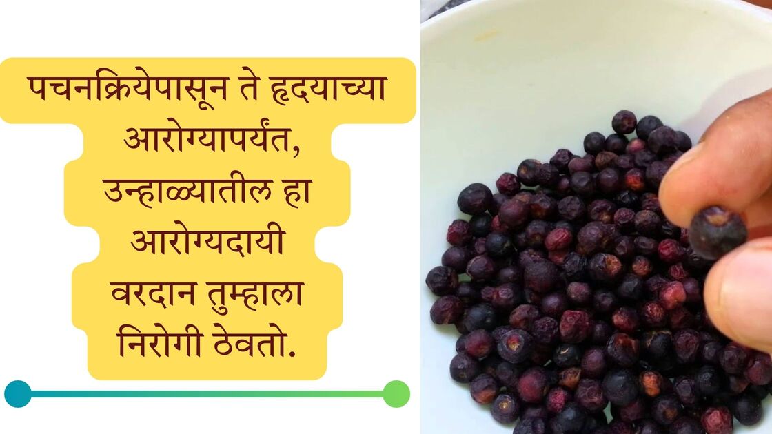 phalsa benefits for heart